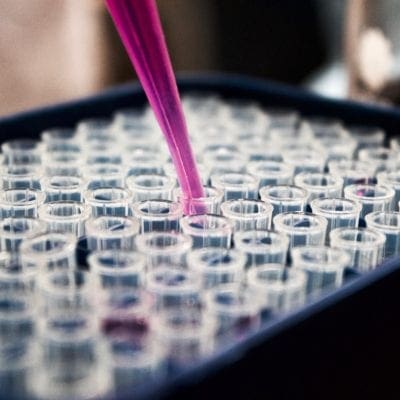 High Court Agrees Sperm Donor is Father