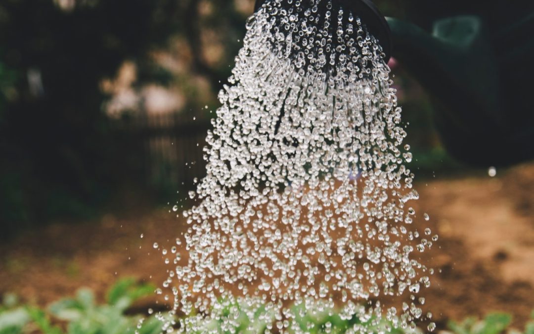 Level 2 Water Restrictions Now in Place