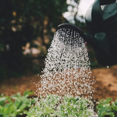 Level 2 Water Restrictions Now in Place