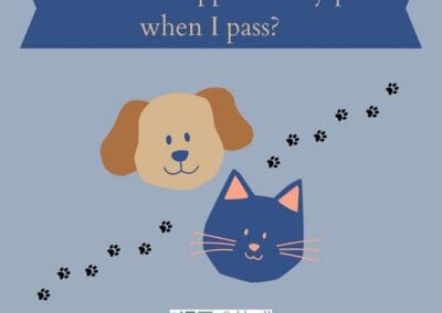 What Happens to your Pet if you Pass Away