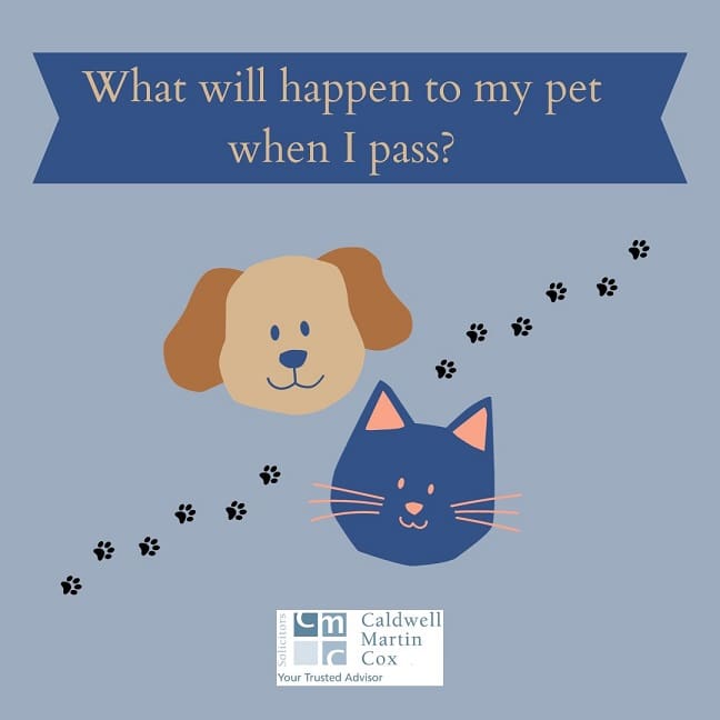 Have you ever considered what would happen to your pet after your passing?