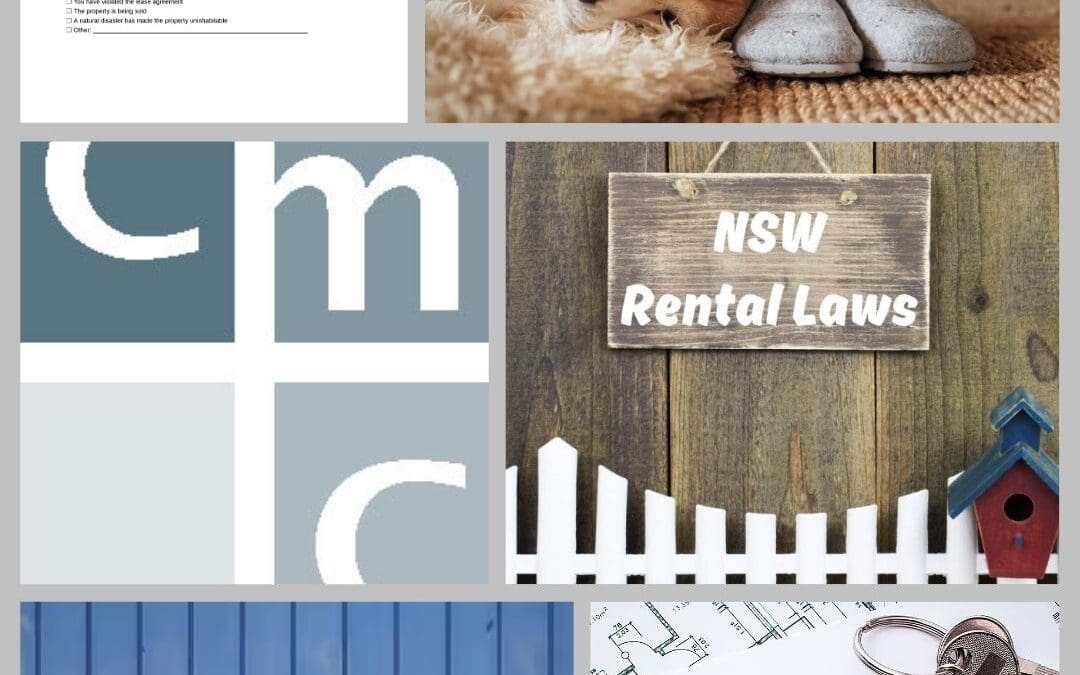 NSW Rental Law Reforms 2025: A Landlords Guide