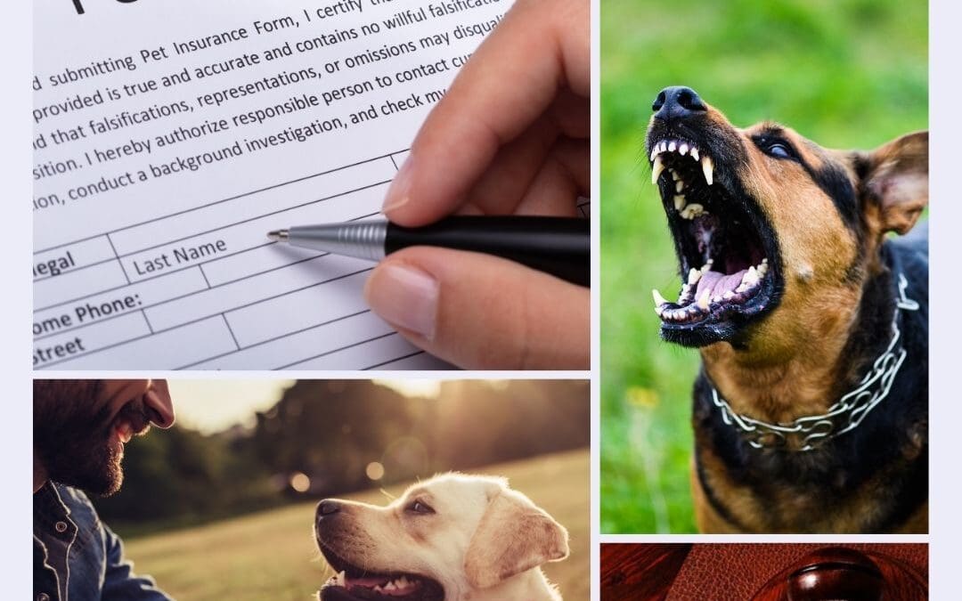 Bite Now, Pay Later – Dog Owners’ Liability in NSW