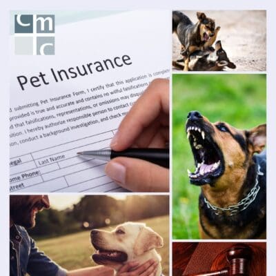 Bite Now, Pay Later – Dog Owners’ Liability in NSW