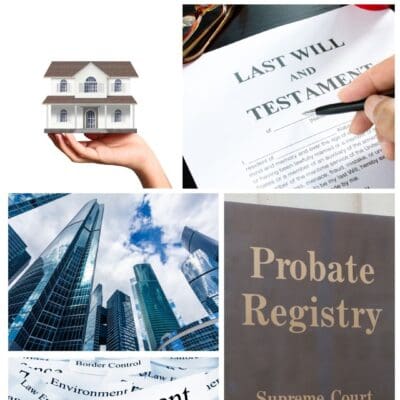 When the Crown Inherits: How “Ownerless” Property Finds Its Way to the Government