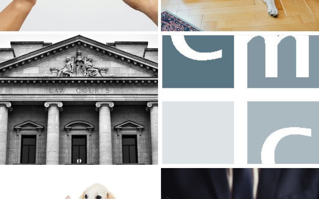 Who keeps the pets? Pets and the family law system