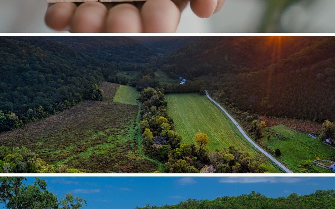 Land Tax
